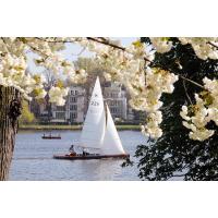 1060_6392 Segelboot auf der Alster - Kirschblüten am Alsterufer. | 